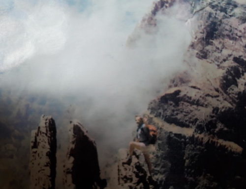 Au bord du volcan